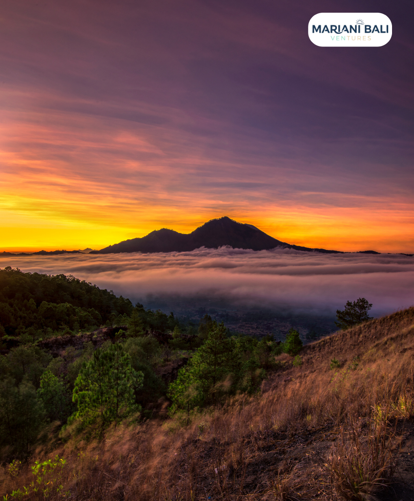Mount Batur Sunrise Jeep + Starbucks Kintamani + Tegallalang
